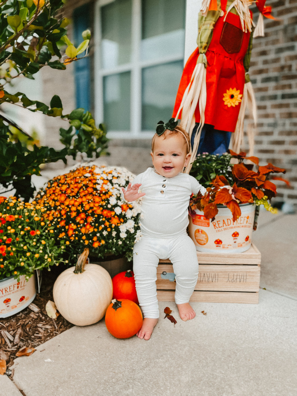 Pumpkin Patch MOBILE